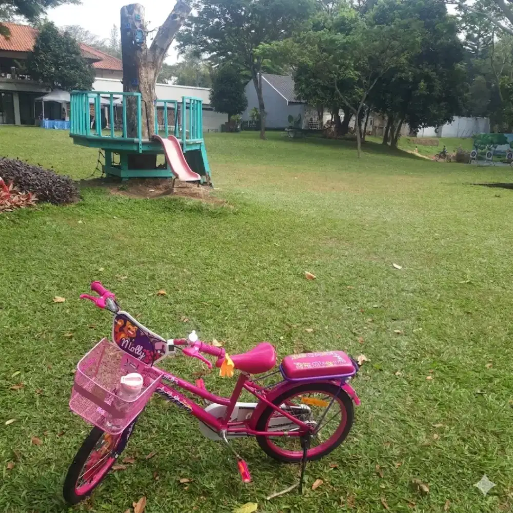 Sepeda anak United Molly 18inch