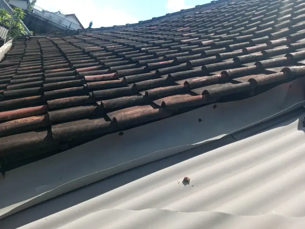 Perbaikan atap bocor rembes