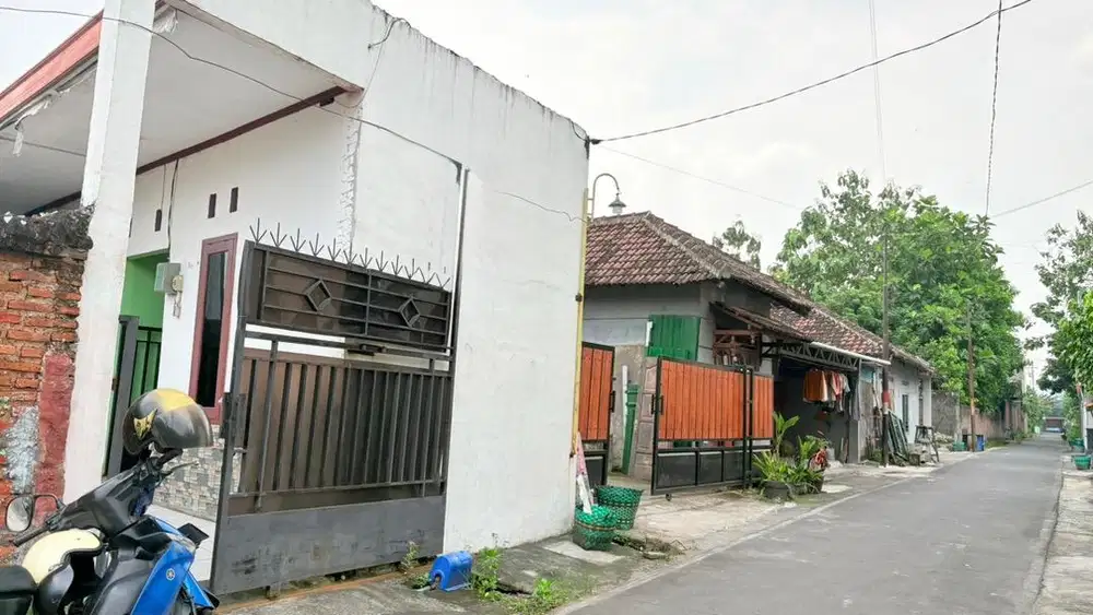 Jual Kost Aktif Bagus Untuk Pasive Income