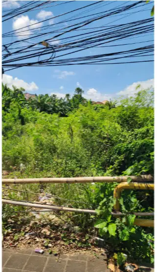 Tanah 50 Are di Jl Sunset Road Legian