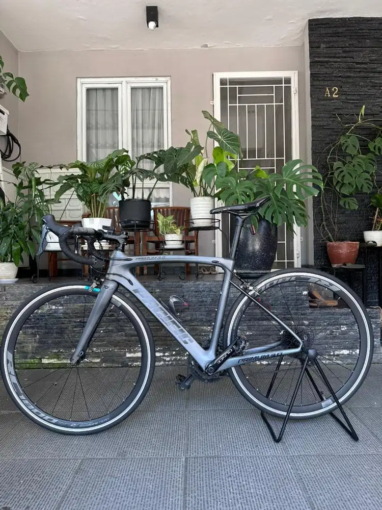 Pacific Primum 3.0 Carbon Shimano Sora Size 50 – Mulus Siap Pakai