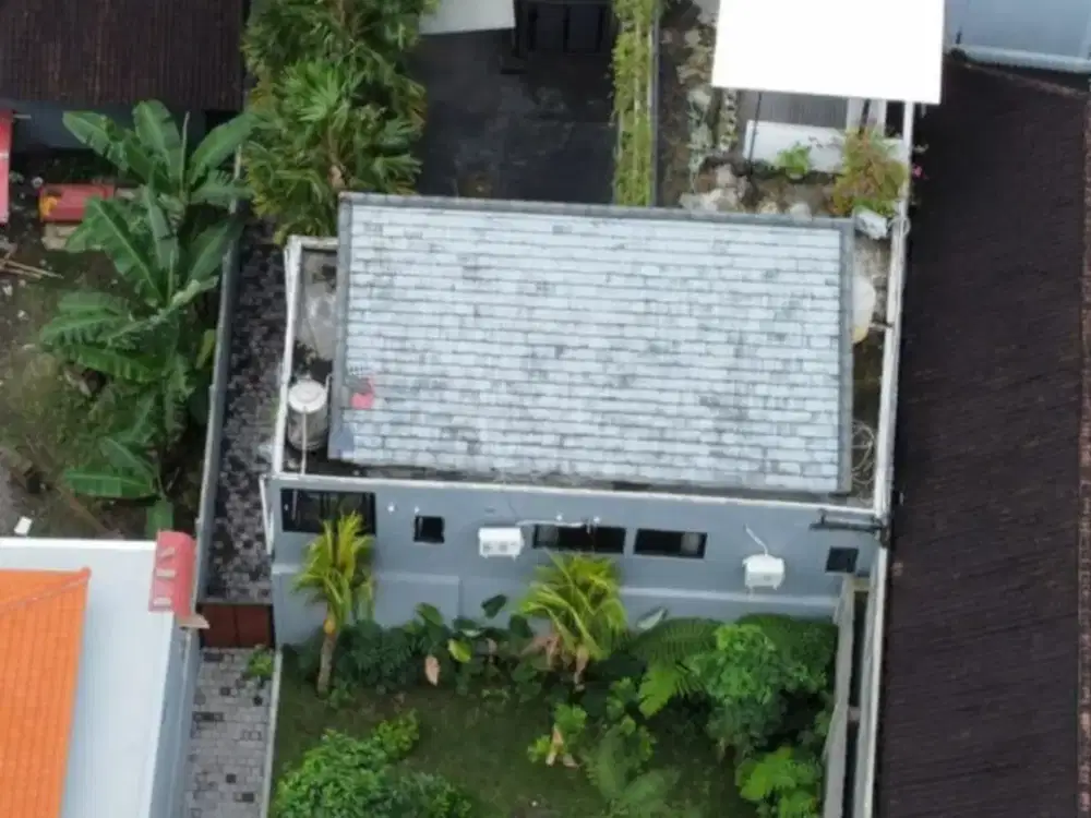 For Sale Freehold House &amp; Private Villa – Padonan, Canggu - Thumbnail 5