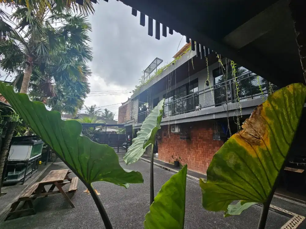 For Sale Freehold House &amp; Private Villa – Padonan, Canggu - Thumbnail 6