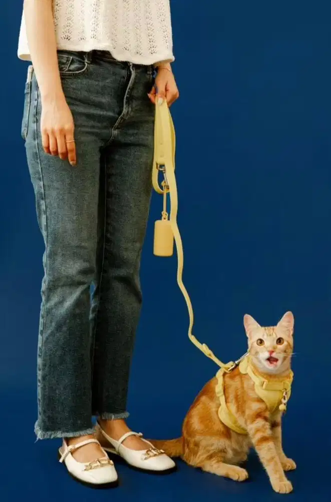 Tali Anabul Satu Set Waterproof