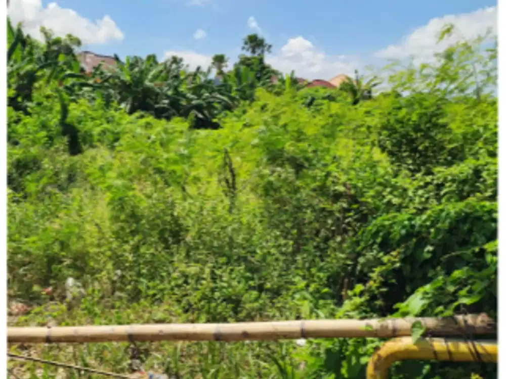 Tanah 50 Are di Jalan Sunset Road Legian