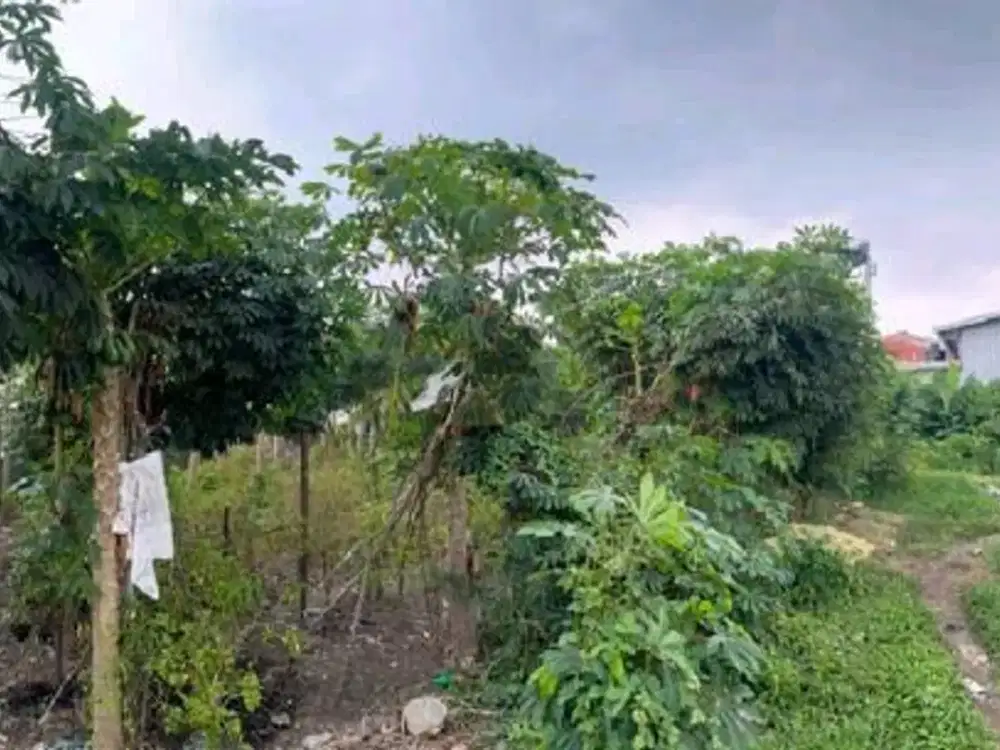 DIJUAL TANAH KALIWARU RUNGKUT SURABAYA RON.A2667