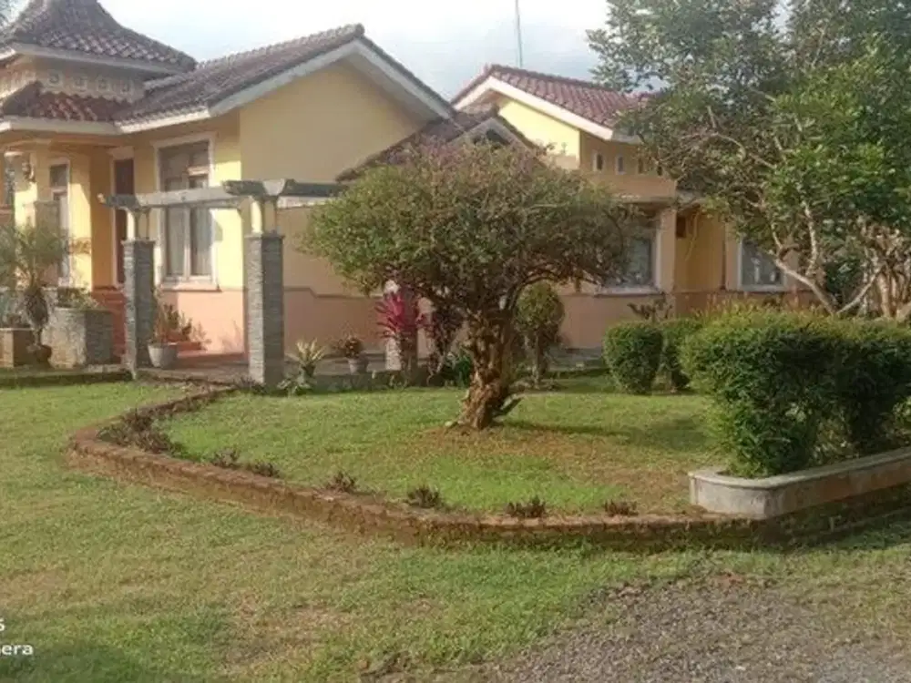 Rumah Super Luas 2.000 Meter di Bandongan Magelang Hunian Asri dengan 2 Bangunan