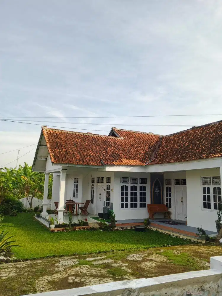 Rumah Asri Sejuk dan Dingin