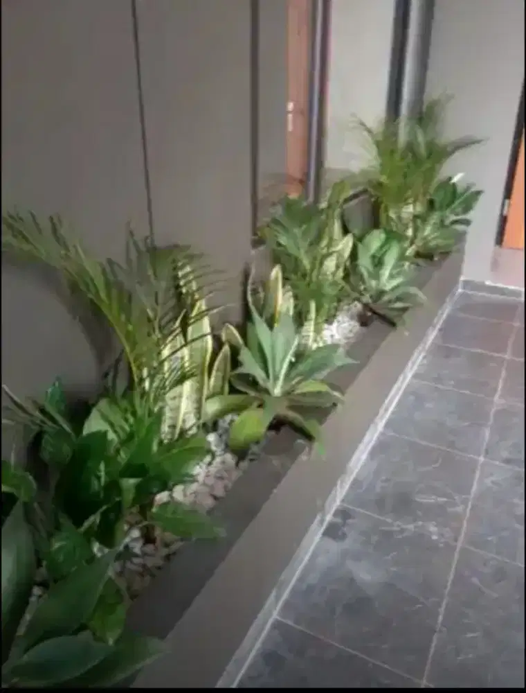 Tukang taman , tukang rumput gajah mini