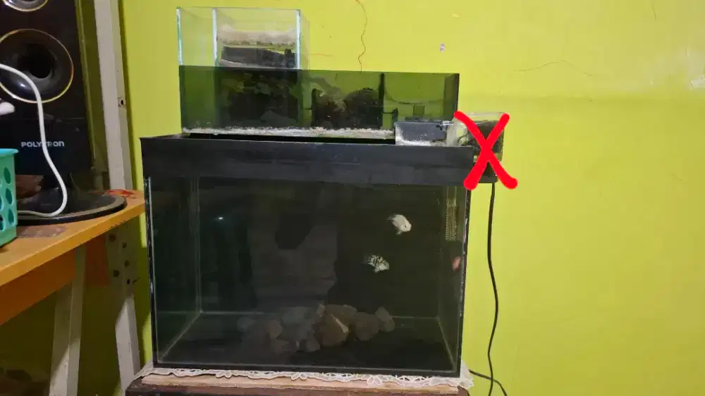 Aquarium 40x25x30 siap pakai