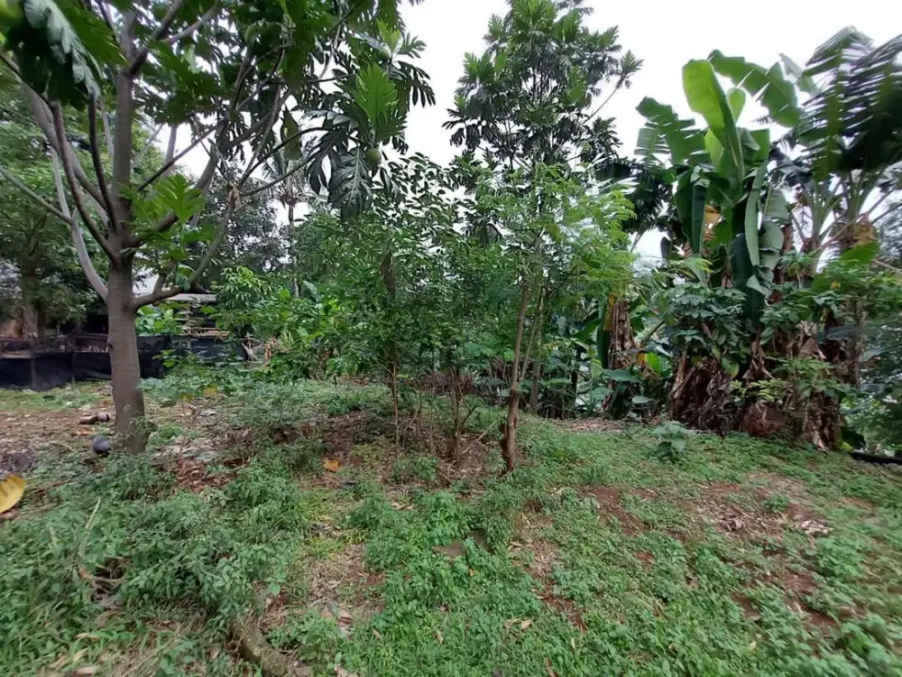 INVESTASI HOT! TANAH LUAS JAKSEL 3.235m² – 5 MENIT KE TOL BRIGIF DESARI