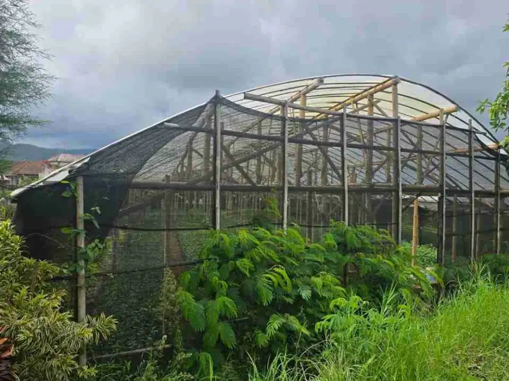 DI JUAL TANAH 

KEL. :  BUMI AJI
KEC. :  BUMI AJI
KAB  :  BATU MALANG