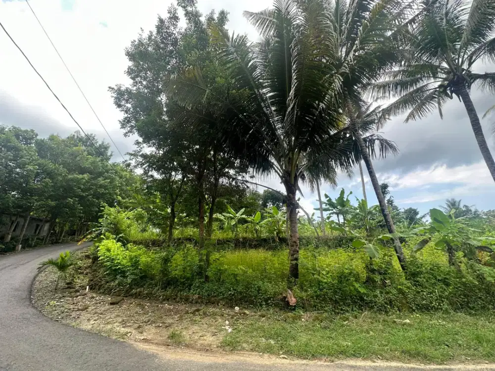 DIJUAL TANAH MURAH SHM DEKAT KELURAH DLINGO BANTUL