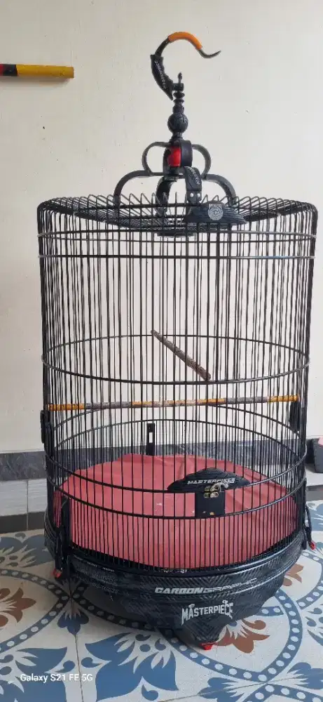 Kandang murai batu no 2 masterpiece karbon