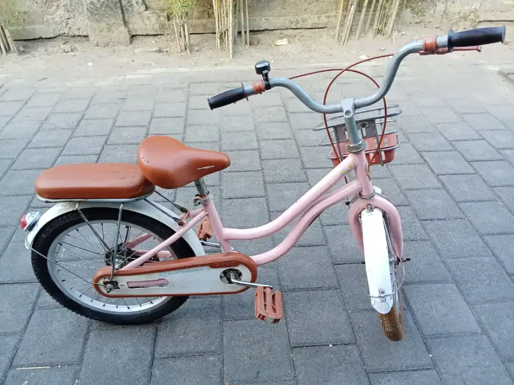 Sepeda anak NEW PHOENIX R 18