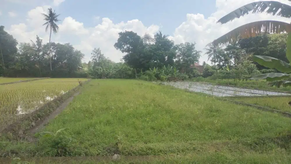 Dijual Tanah Lokasi dekat jl Kaliurang