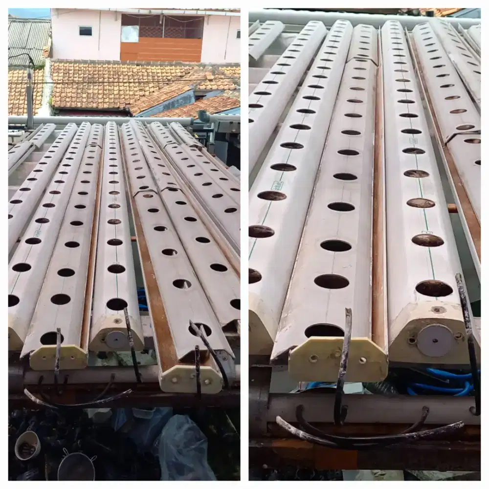 Gully Travesium Hidroponik