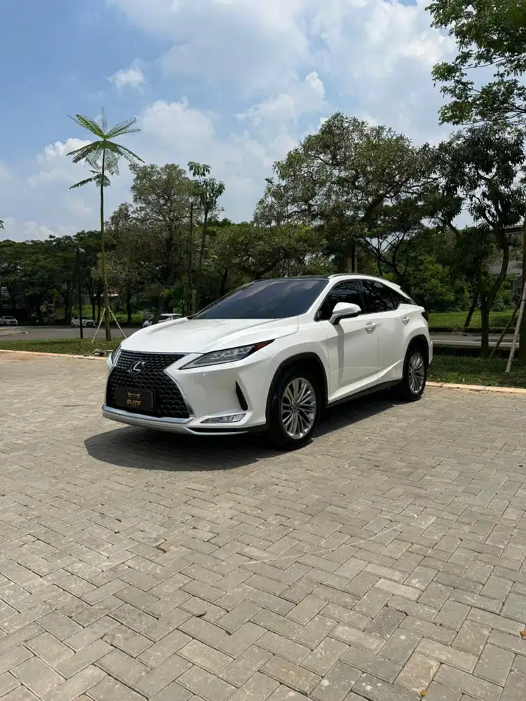 Lexus RX 300 Luxury 2021