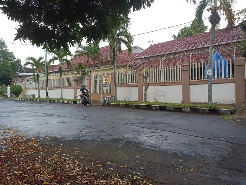 JUAL CEPAT RUMAH BESAR SHM DI JEMBER (BUTUH CEPAT – DI BAWAH PASAR)