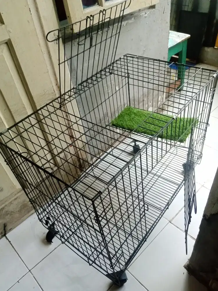 Kandang kucing besar besi tebal