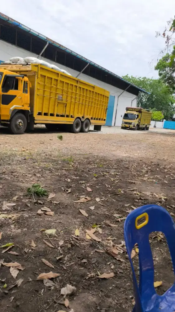 Staff administrasi gudang