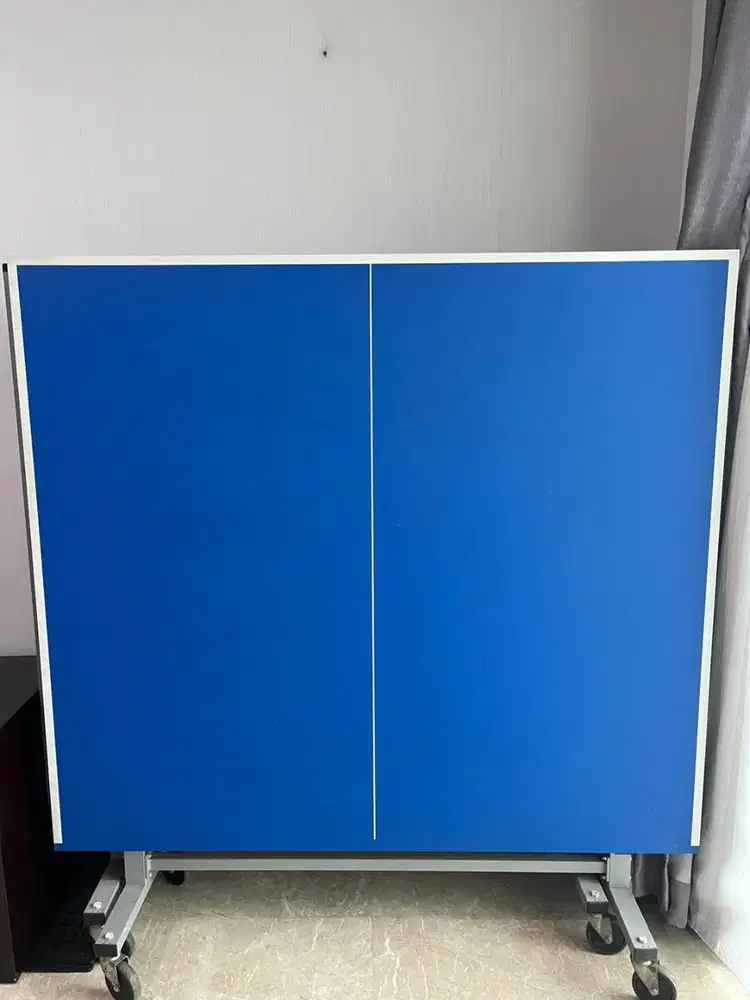 Table Tennis Butterfly Octet 25