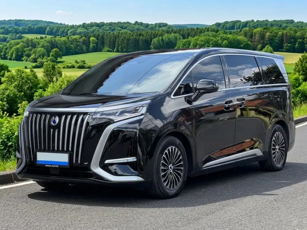 DENZA D9 EV At 2025 km +)- 12.000