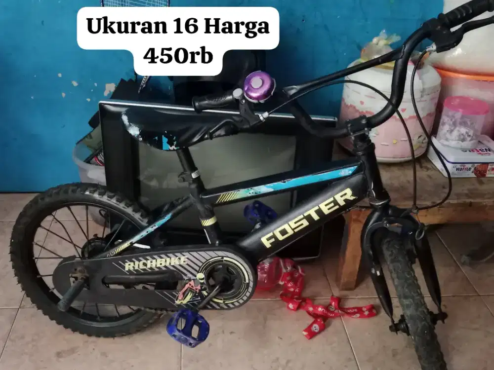 Sepeda anak laki-laki