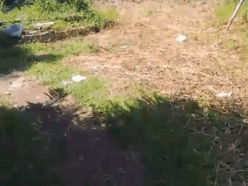 Tanah Di Bojong Gede Cocok Untuk Bisnis Pemukiman Dll