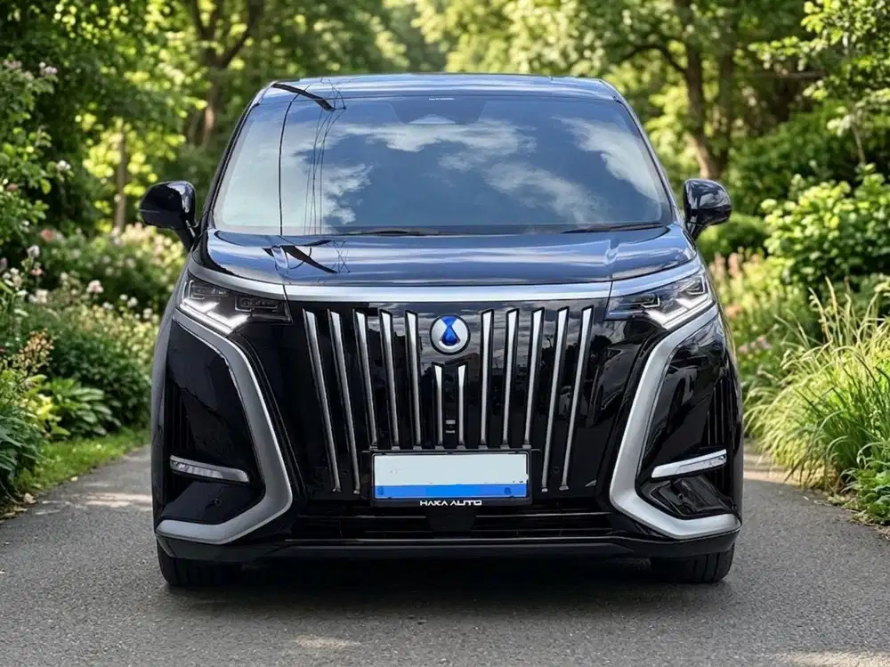 DENZA D9 EV AT. TGN 1 dari baru Terawat