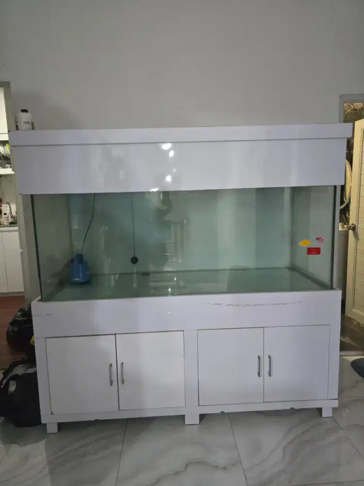 Aquarium hiasan rumah