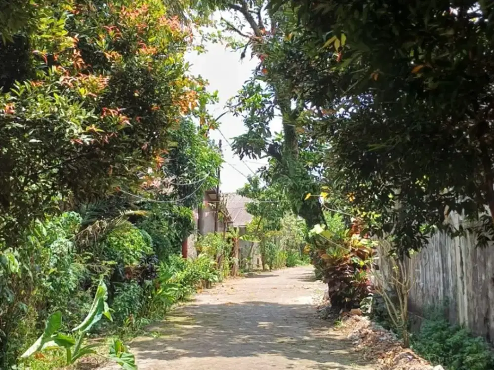 Paling Best Price! Tanah Antara Lippo & Harkit – 5 Jt/M Nego Jangan Sampai kehabisan!