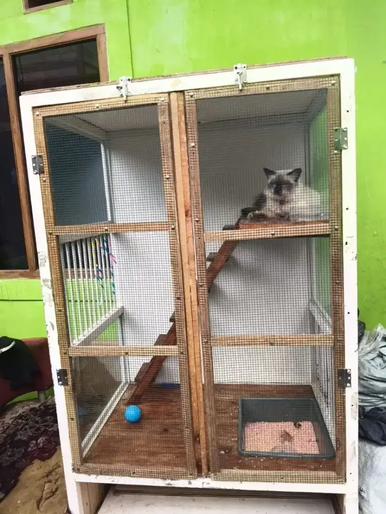 Kandang kucing besar