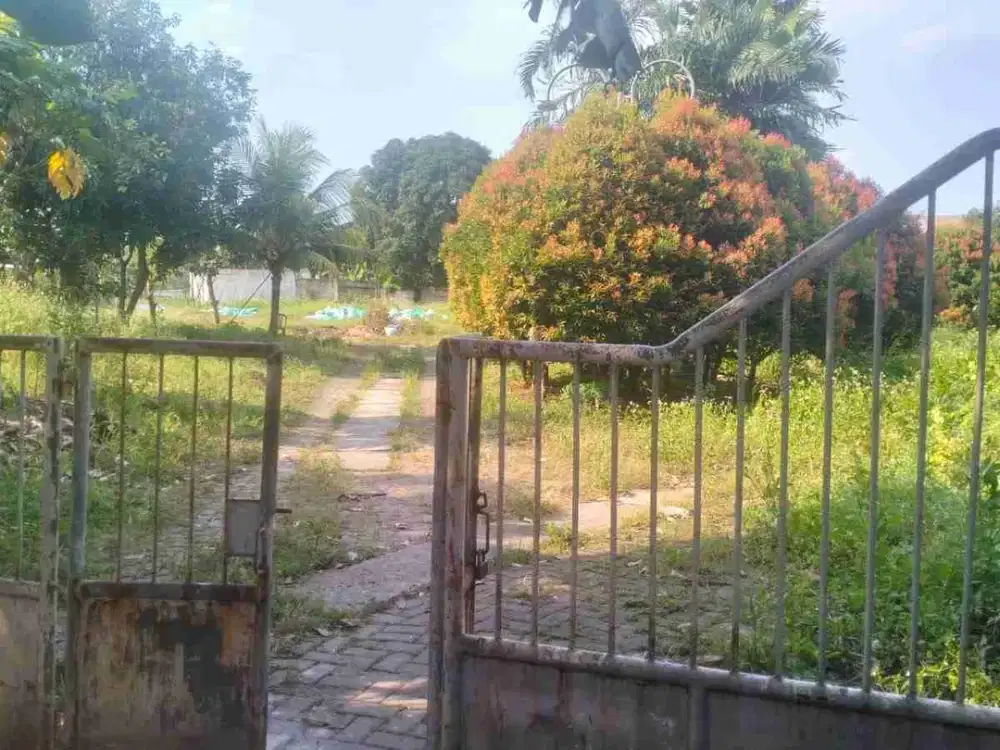 TANAH BAGUS HARGA MURAH