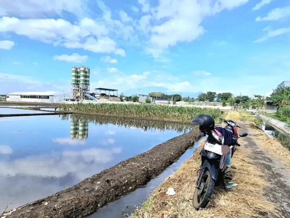 Tanah Sawah Luas 4310 SHM Depan pintu Tol Ampeldento Pakis Malang cocok utk Gudang dan Cluster