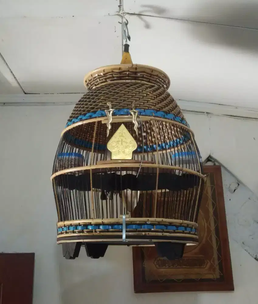 kandang perkutut full set