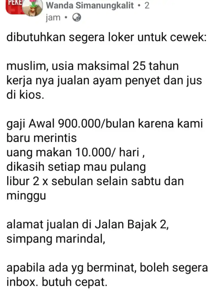 Loker Jaga Ayam Penyet