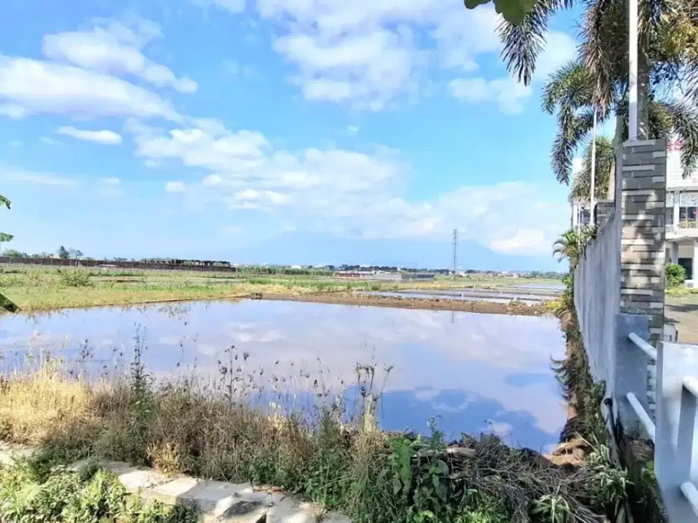 Tanah Sawah Luas 1543 SHM Pinggir jalan sebelah RS cocok utk usaha di daerah Pakis Malang Jawa Timur