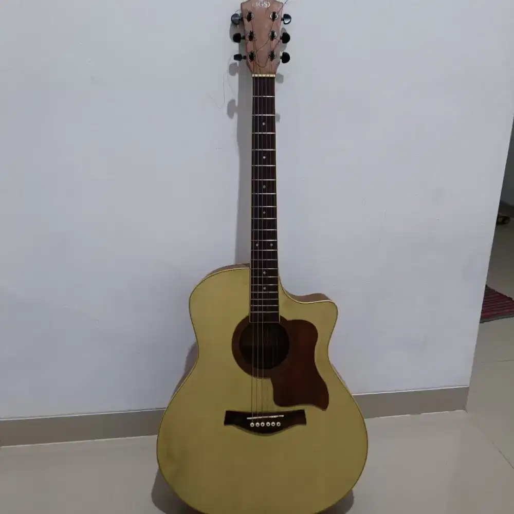 Gitar jgs original