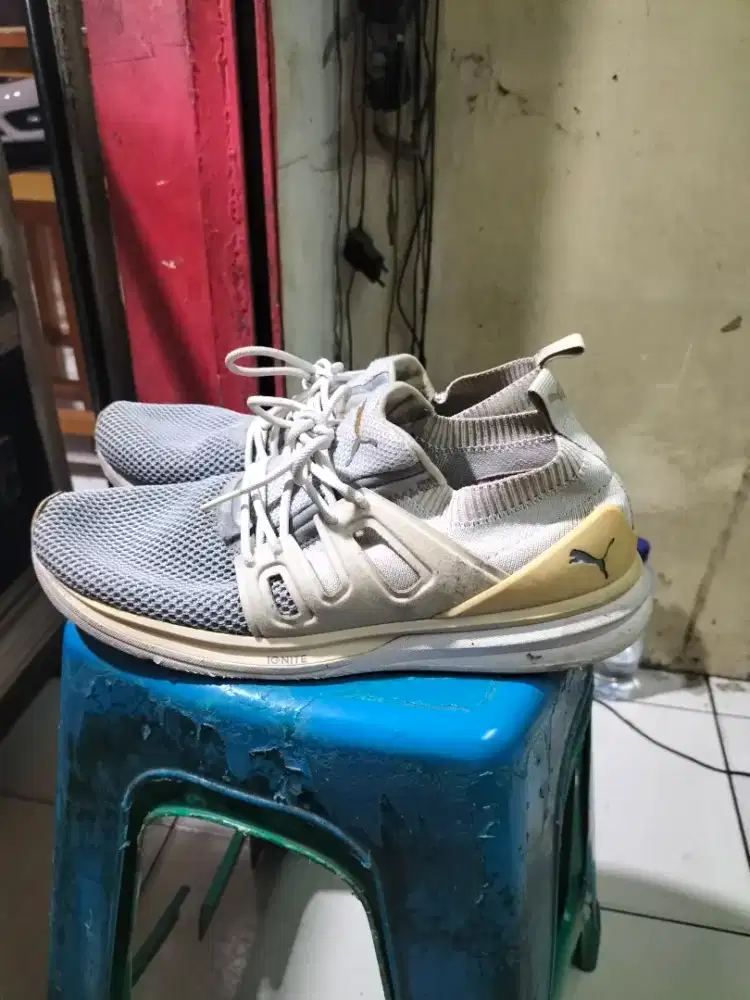 Puma Ignite ori