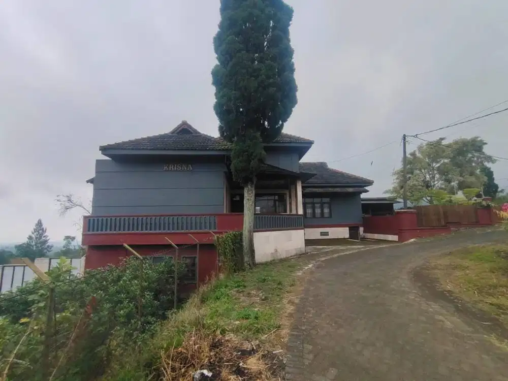 JUAL MURAH VILLA DI ANDONOSARI, TUTUR, PASURUAN LUAS 1 HA,SHM