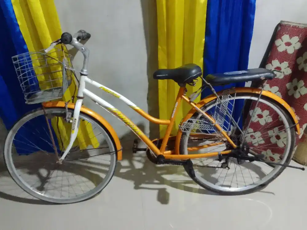 Sepeda keranjang Phoenix 26