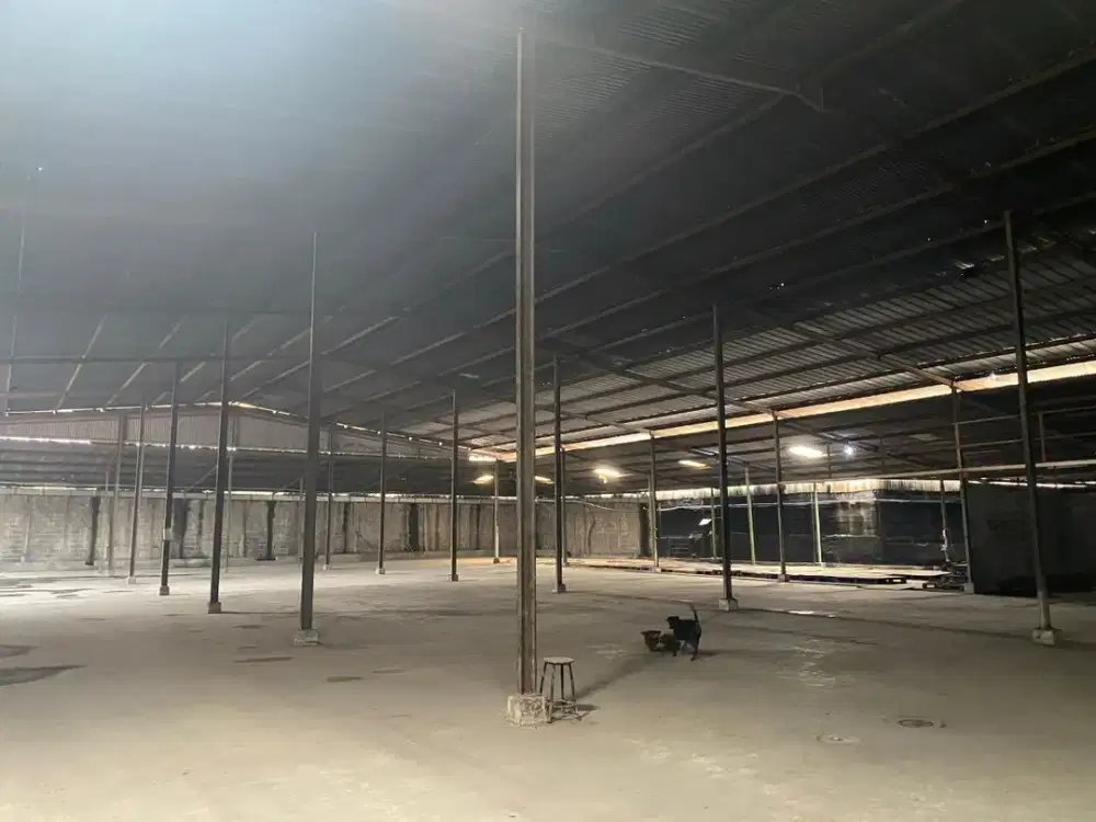 DISEWAKAN CEPAT GUDANG MANDIRI STAND ALONE 1800M2 DI BOGOR