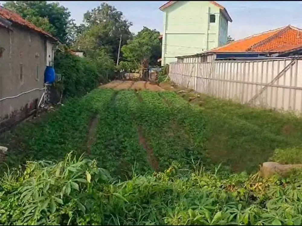 Tanah Luas 649 SHM di jalan raya Babelan Bekasi cocok utk tempat usaha