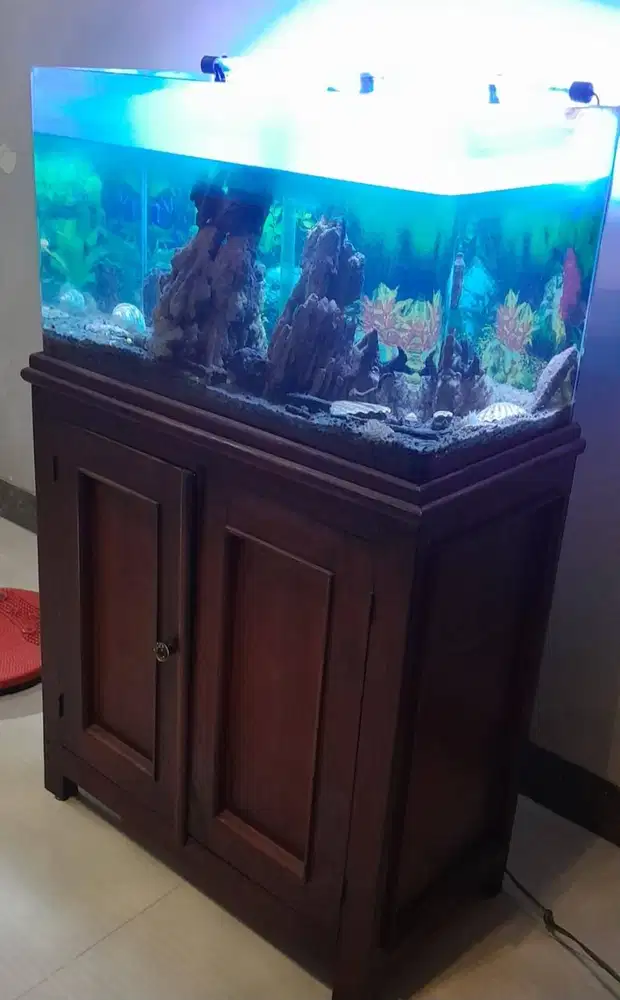 Dijual murah aquarium kaca lengkung