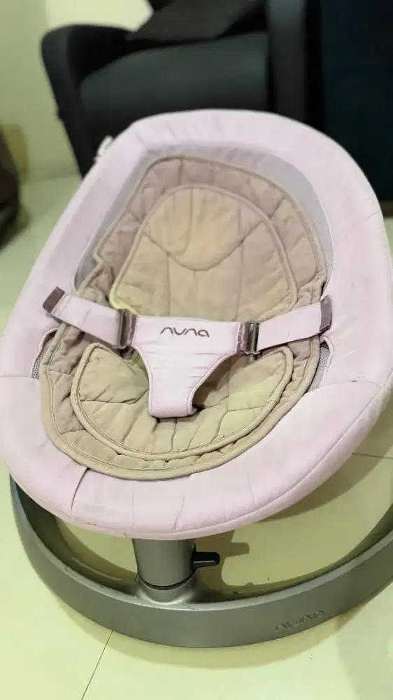 Dijual nuna leaf curve