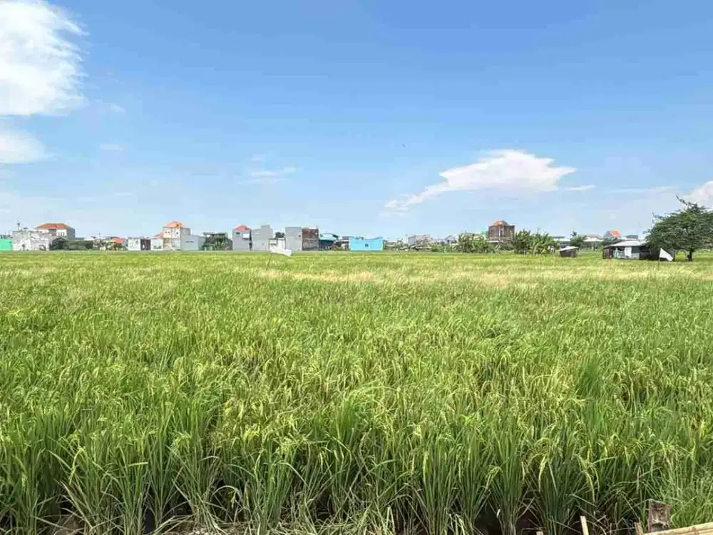 DiJual Tanah Kavling perumahan di area Sedati Sidoarjo dekat payan pabean