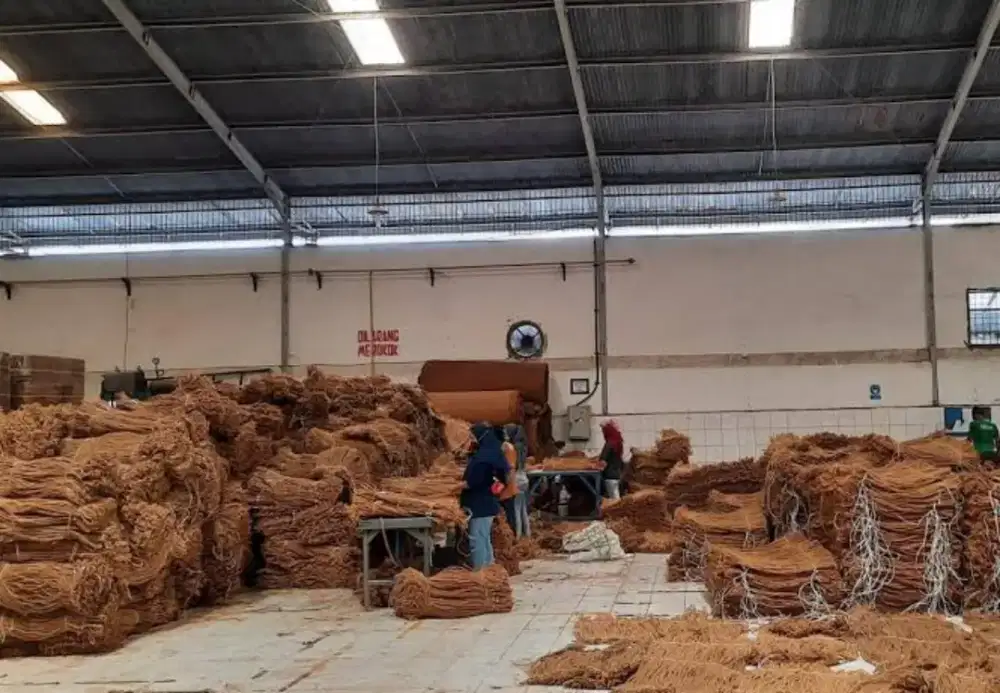 Cocofibre sabut kelapa kering dlm balpres 50 Kg an