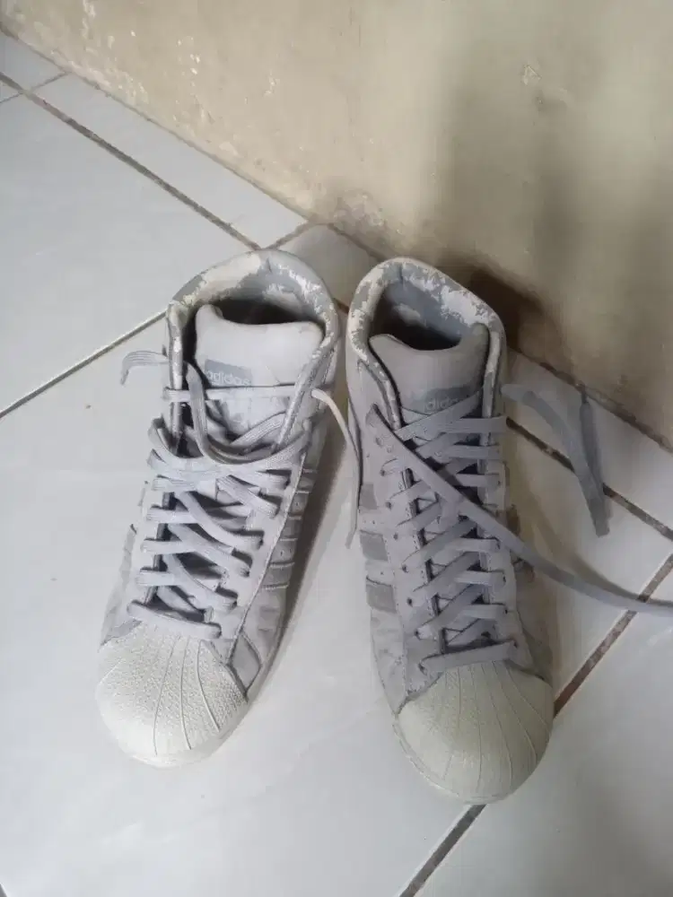 sepatu addidas coy