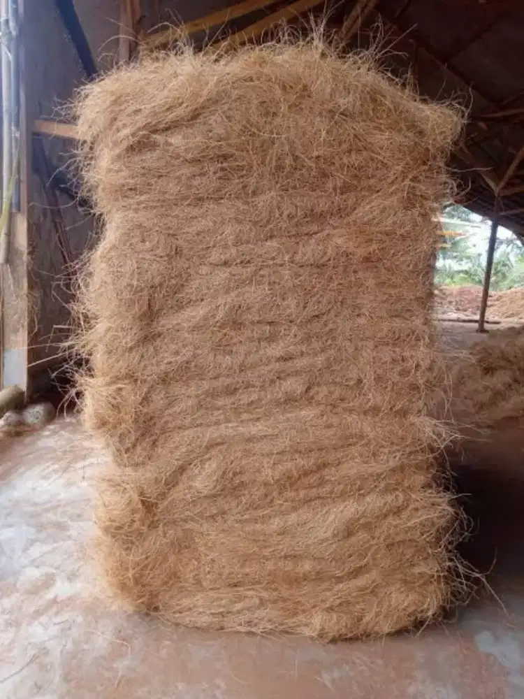 Cocofibre serat sabut kelapa halus kering dlm balpres 50 Kg an